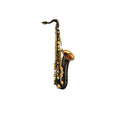 Alto Saxophone Set U9105