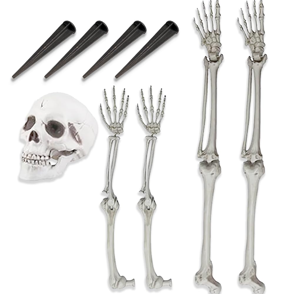 Life-Size Skeleton Halloween Decoration T8583