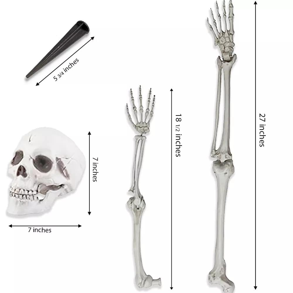 Life-Size Skeleton Halloween Decoration T8583