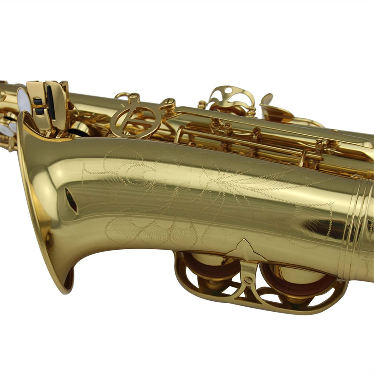 Gold Lacquer Alto Saxophone Set A82039