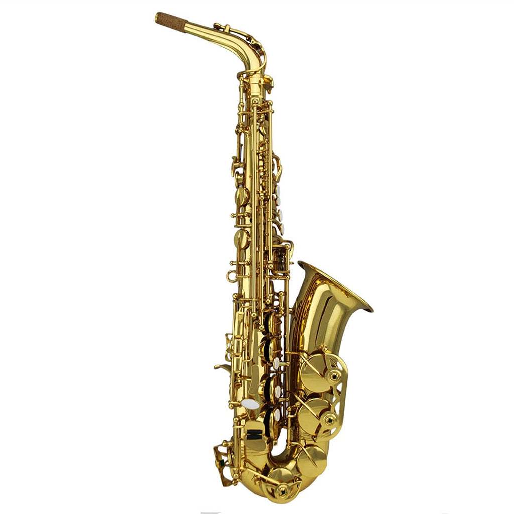 Gold Lacquer Alto Saxophone Set A82039