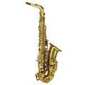 Gold Lacquer Alto Saxophone Set A82039