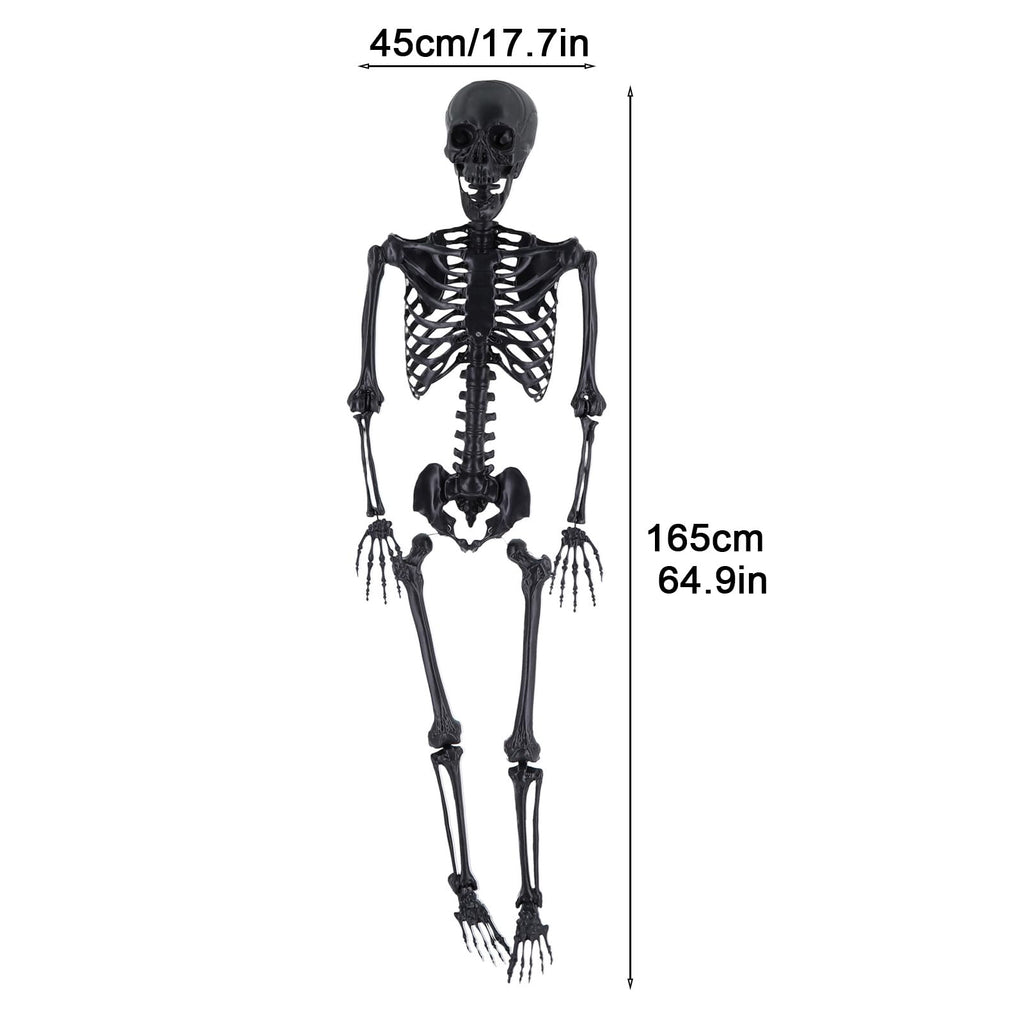 Life Size Posable Plastic Skeleton A92743