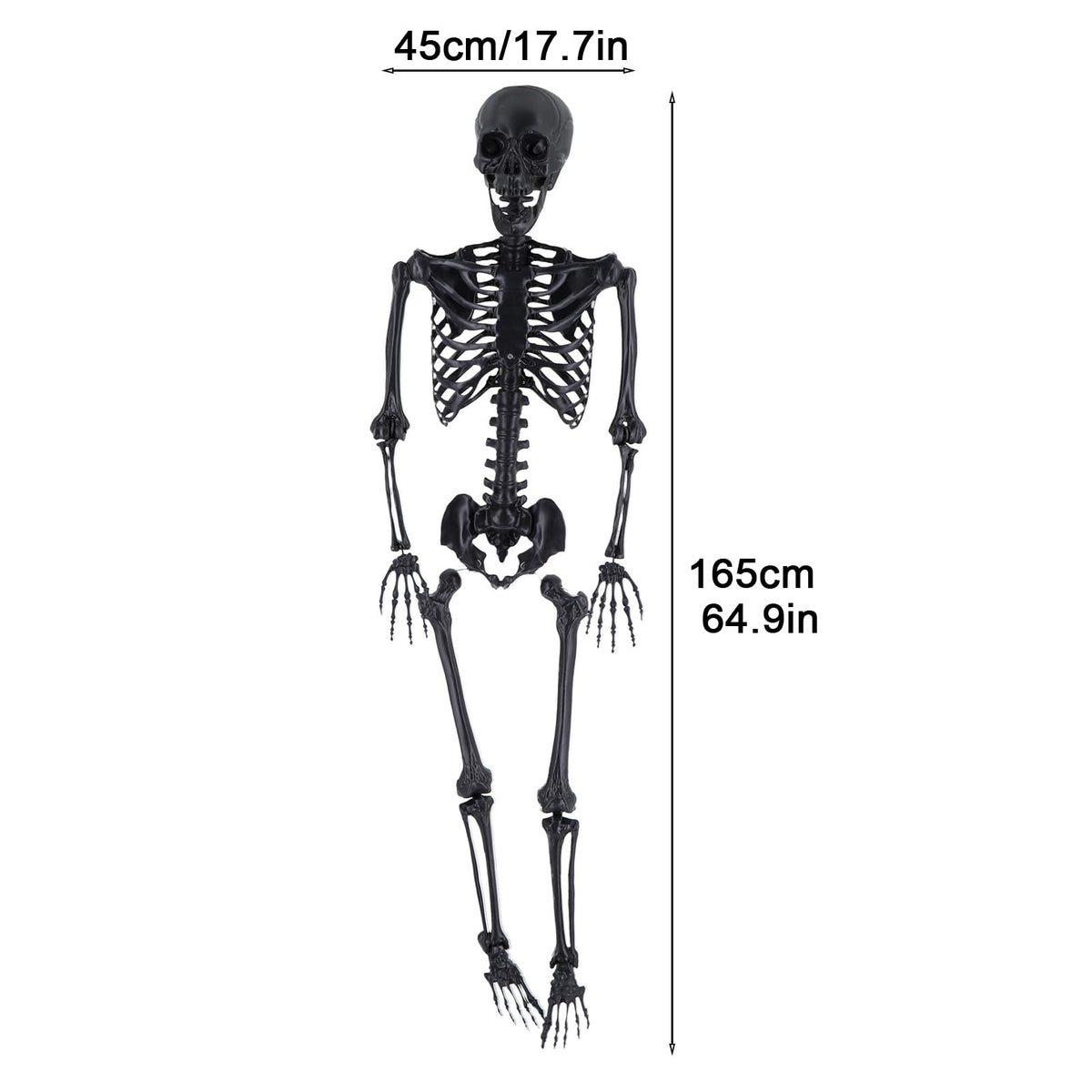 Life Size Posable Plastic Skeleton A92743