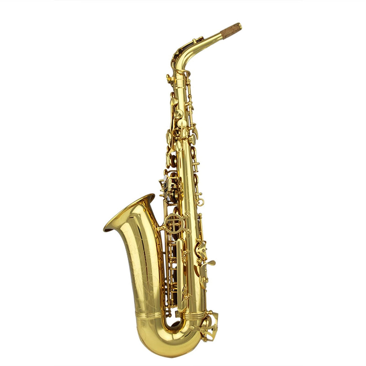 Gold Lacquer Alto Saxophone Set A82039