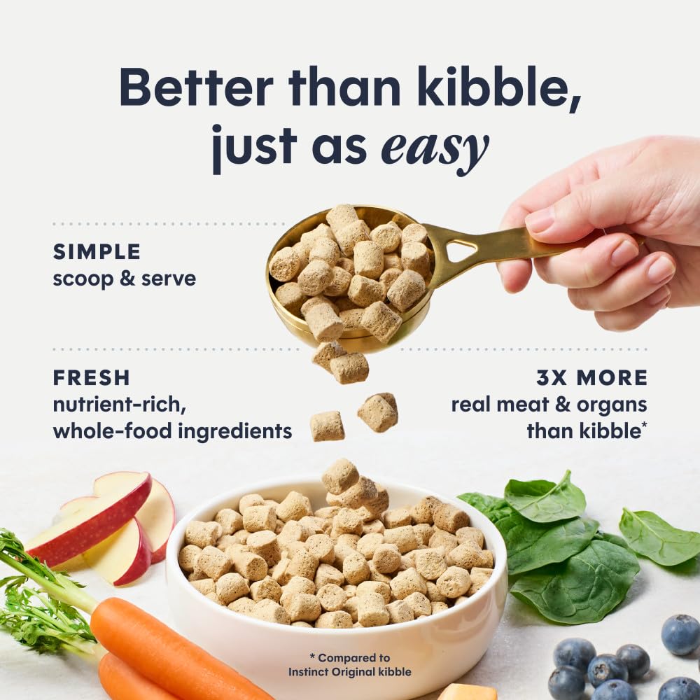 Freeze Dried Raw Chicken Cat Food 9.5 oz J464