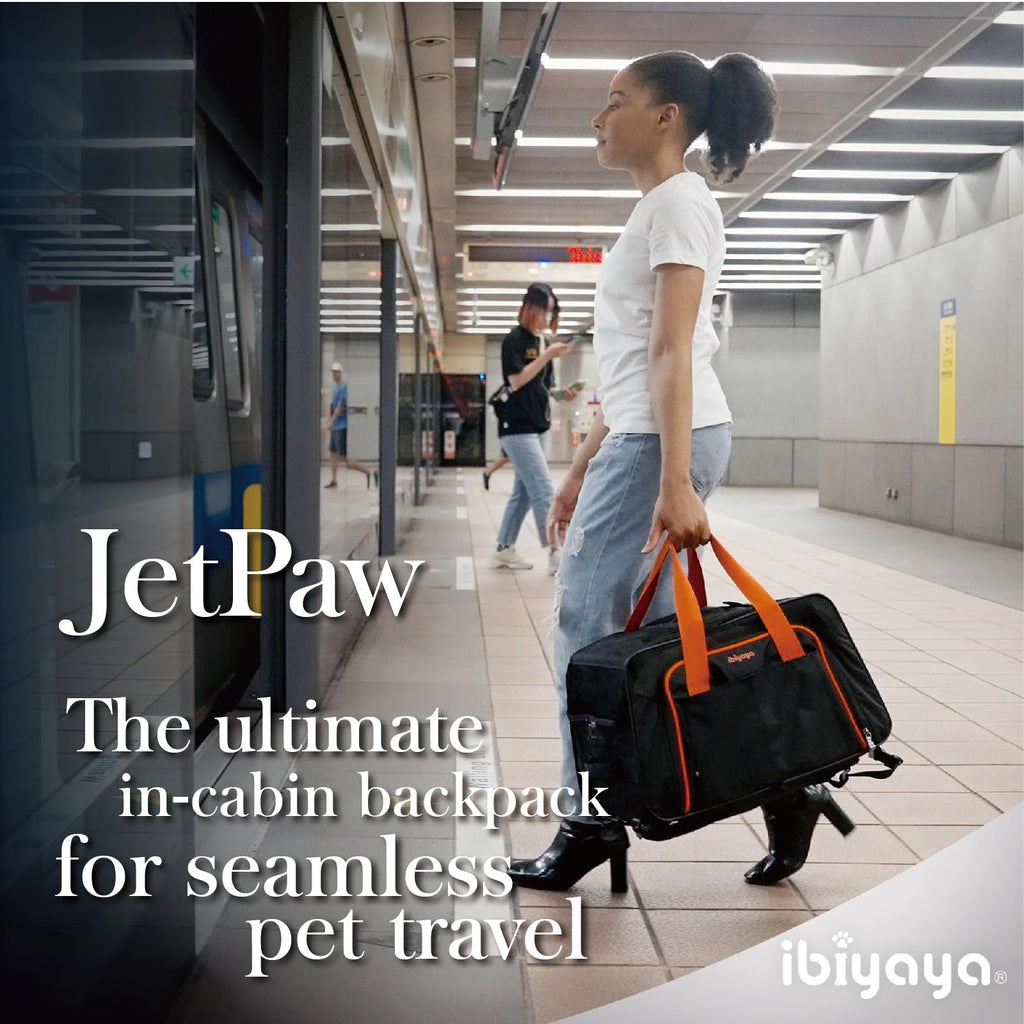 Expandable Pet Carrier for Dogs and Cats R8390