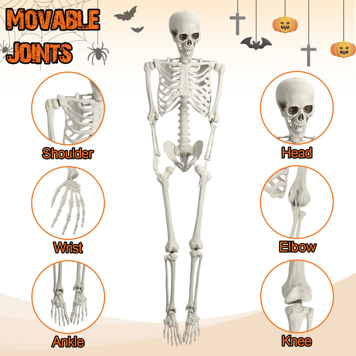 5.4FT Posable Life Size Skeleton V305577