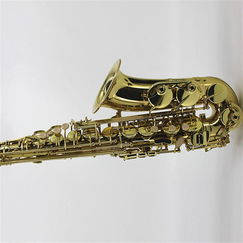 Lacquered Brass E-Flat Alto Saxophone V7991