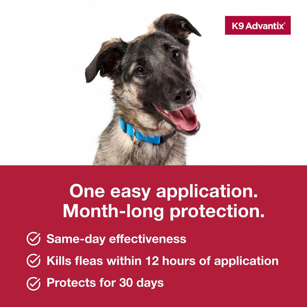 Flea Tick Mosquito Prevention for Dogs 21-55 lbs M455