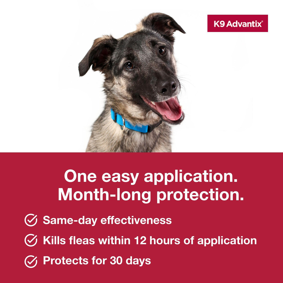 Flea Tick Mosquito Prevention for Dogs 21-55 lbs M455