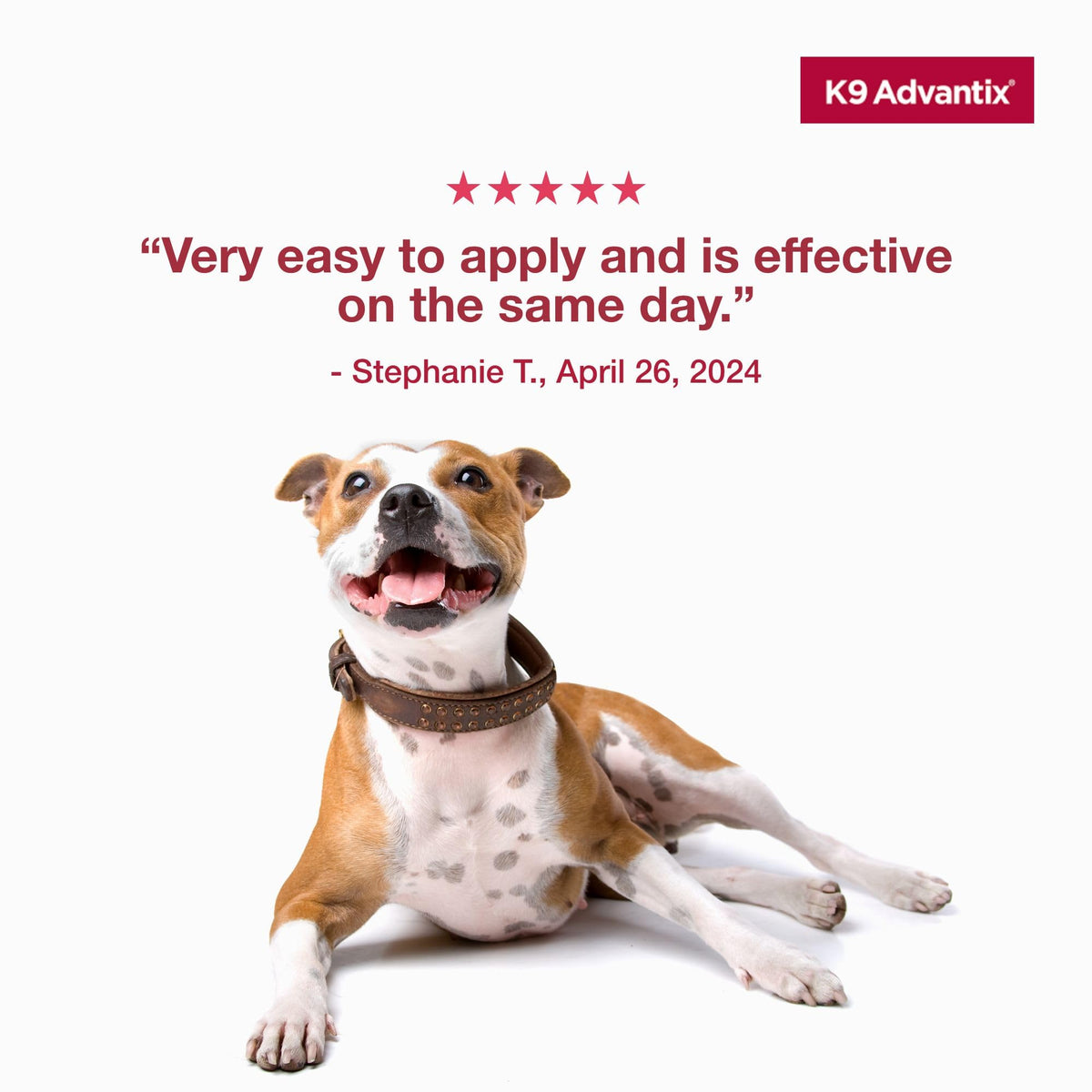 Flea Tick Mosquito Prevention for Dogs 21-55 lbs M455