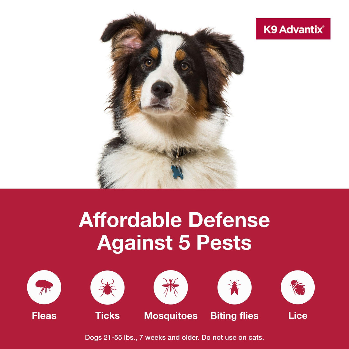 Flea Tick Mosquito Prevention for Dogs 21-55 lbs M455