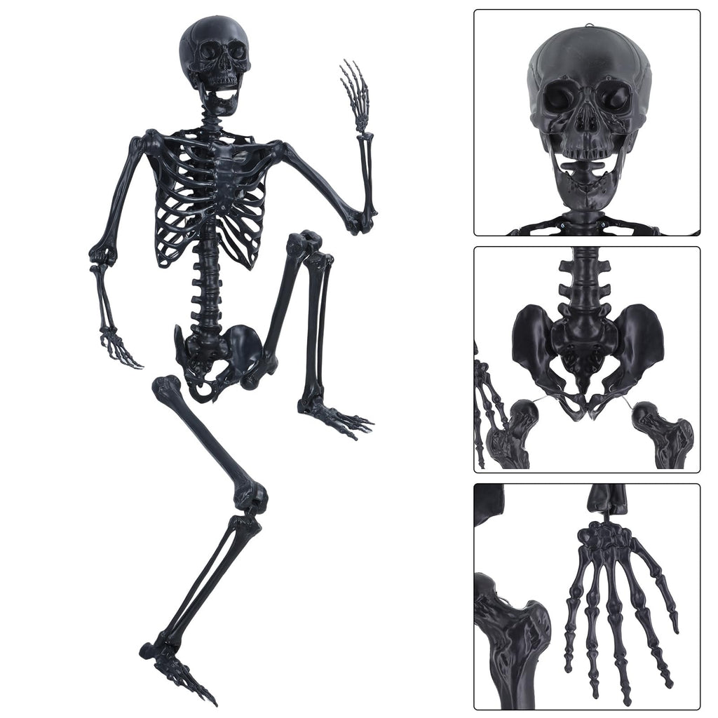 Life Size Posable Plastic Skeleton A92743