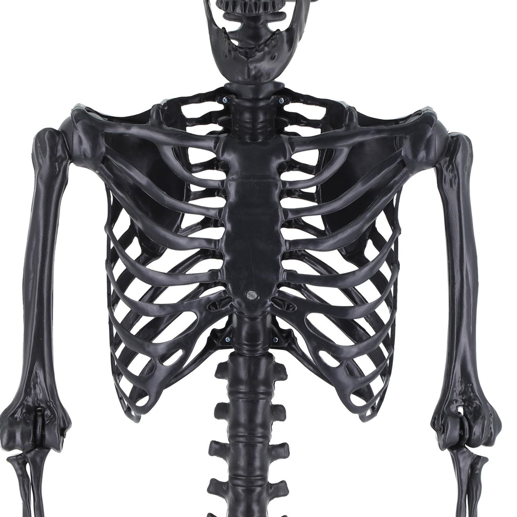 Life Size Posable Plastic Skeleton A92743