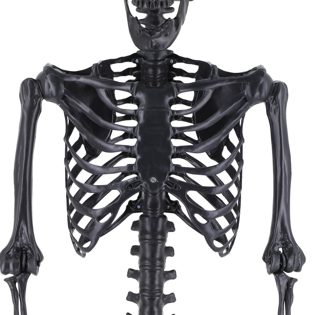 Life Size Posable Plastic Skeleton A92743