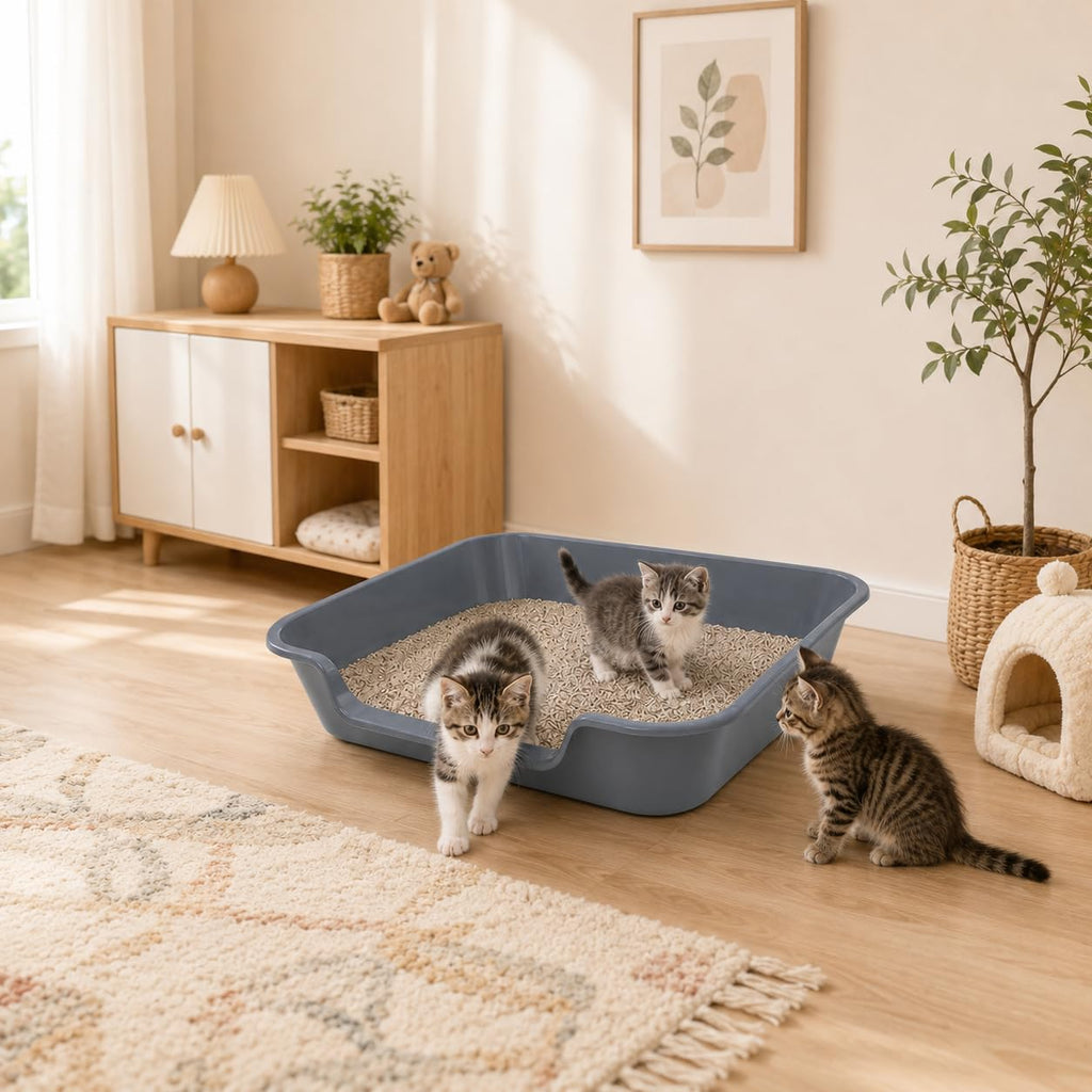 Extra Large Low Entry Cat Litter Box F1493