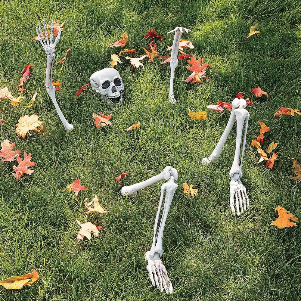Life-Size Skeleton Halloween Decoration T8583