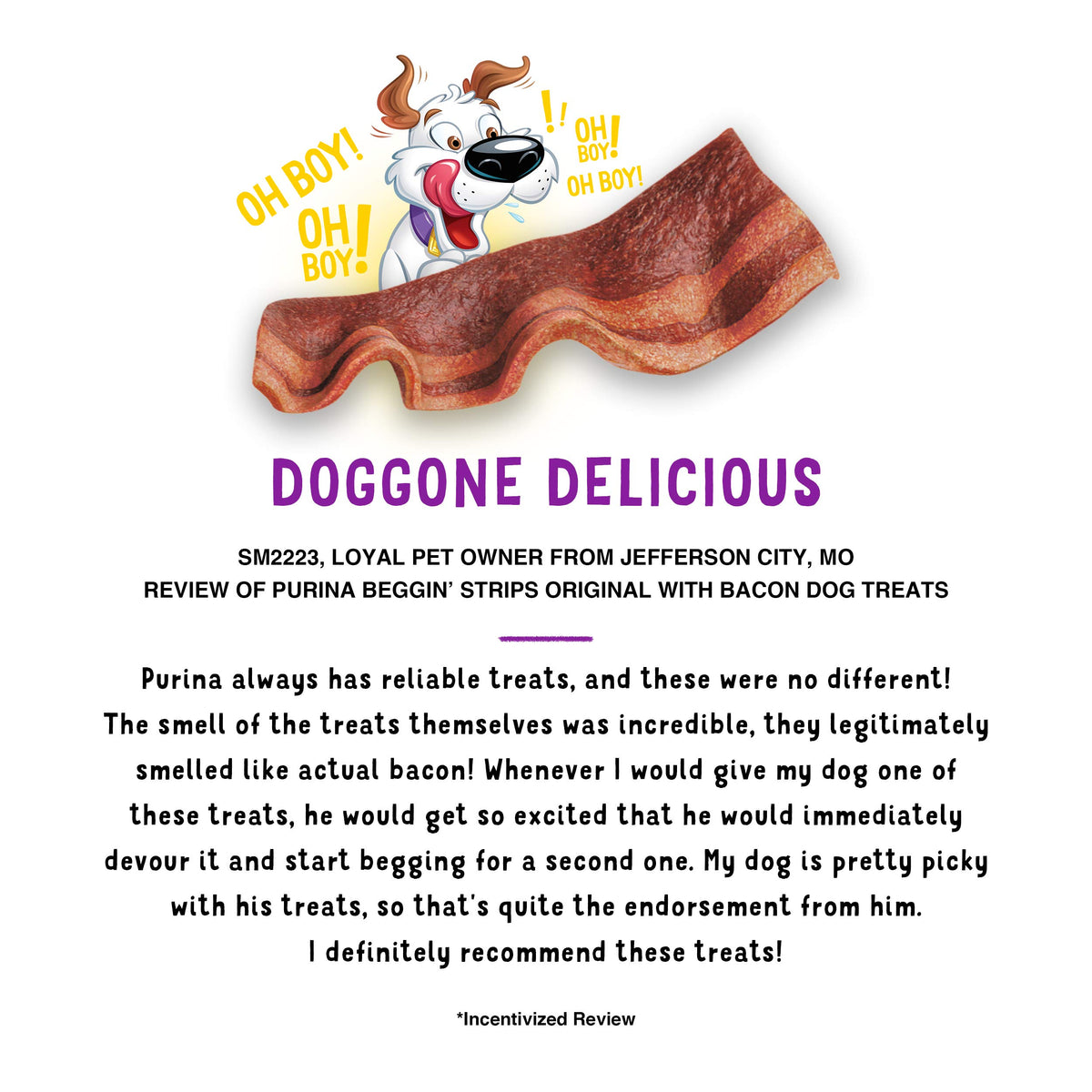 Dog Treats with Bacon 26 oz Pouches B801575