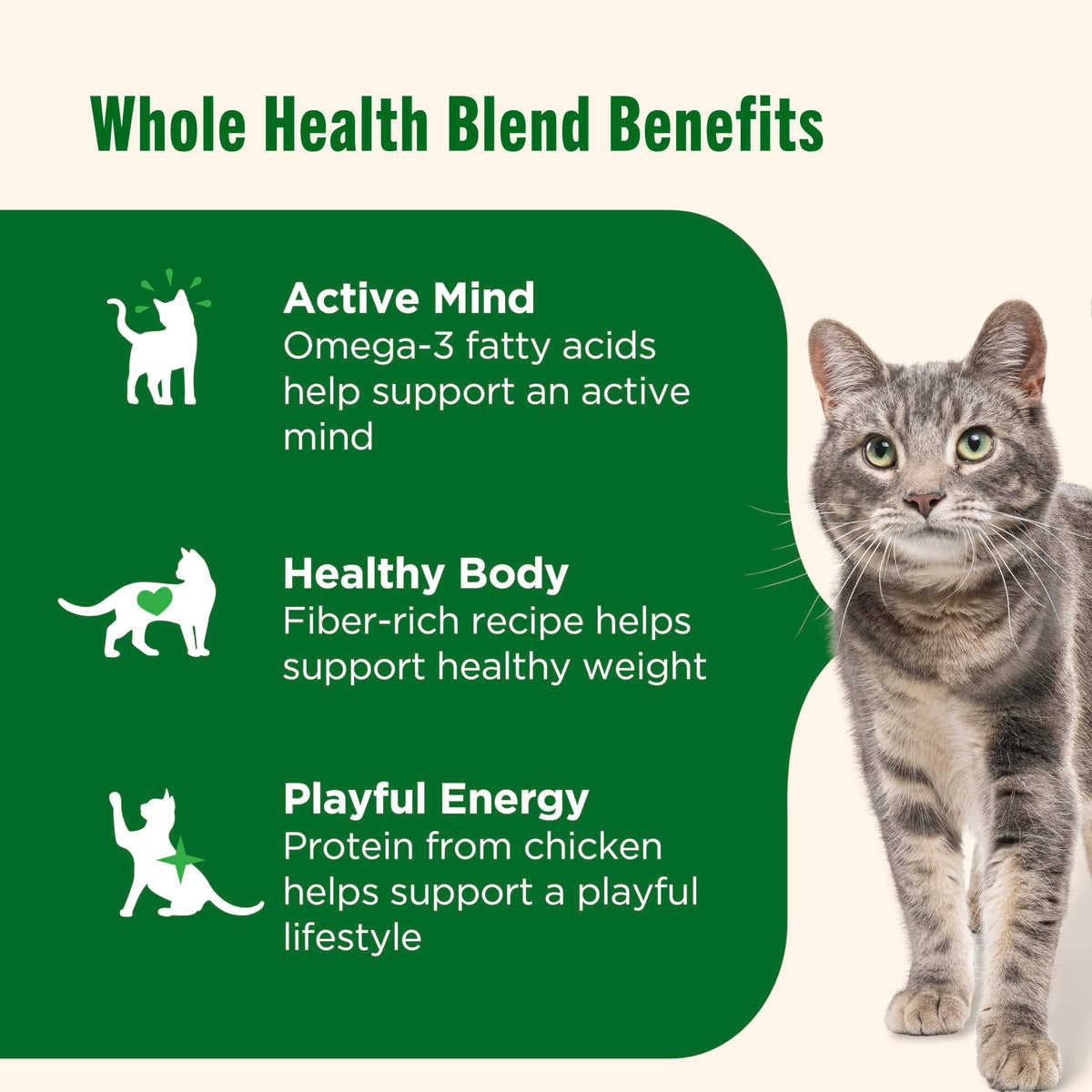 Chicken & Brown Rice Recipe Dry Cat Food 14 lb. Bag X208891