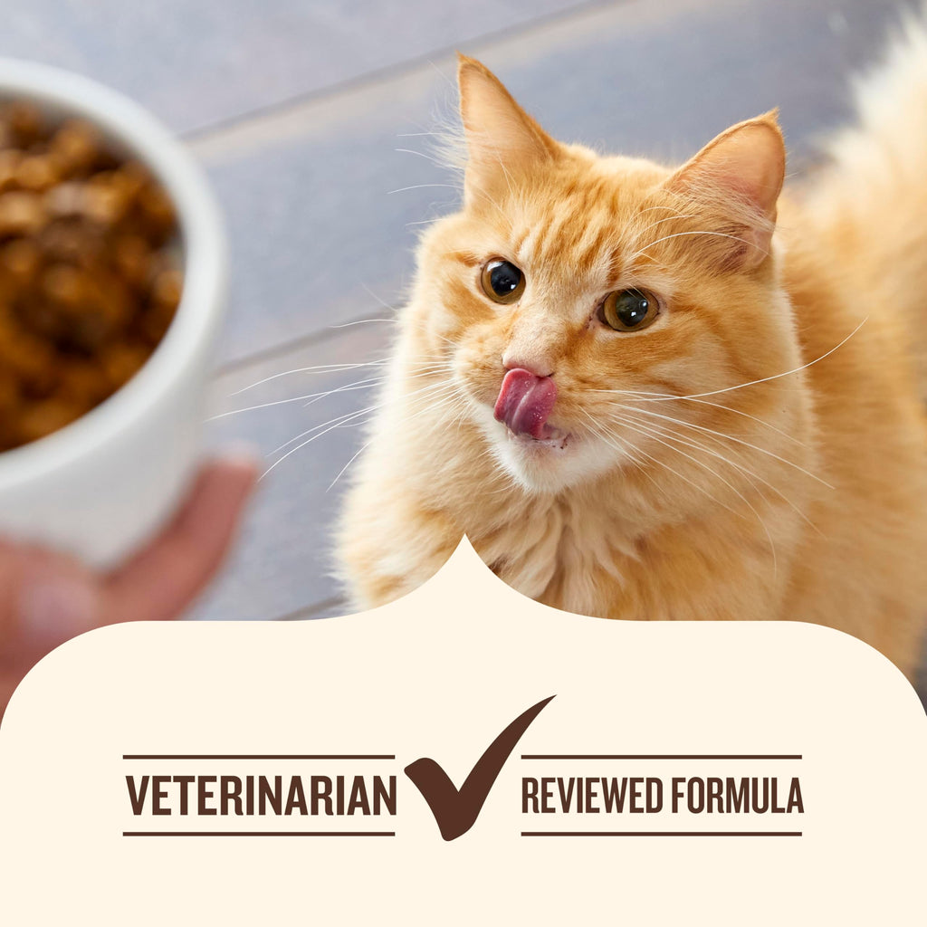 Chicken & Brown Rice Recipe Dry Cat Food 14 lb. Bag X208891