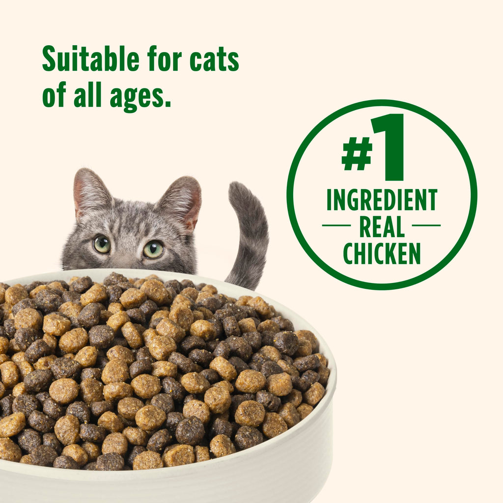 Chicken & Brown Rice Recipe Dry Cat Food 14 lb. Bag X208891