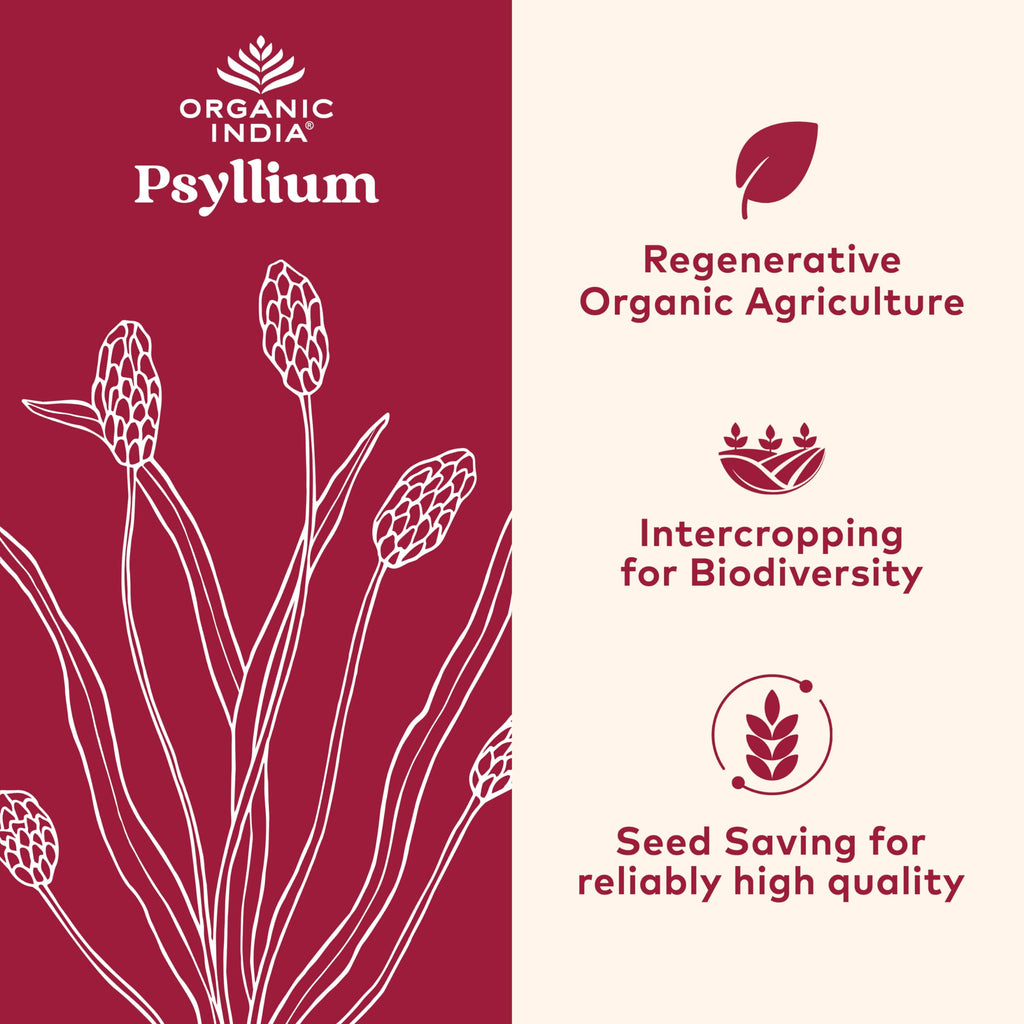 Psyllium Whole Husk Fiber Supplement 12 oz M12520