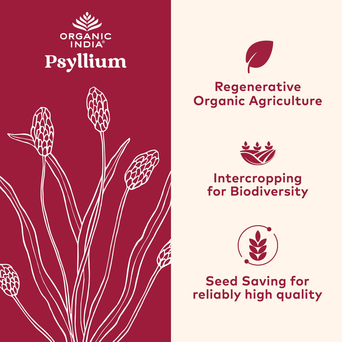Psyllium Whole Husk Fiber Supplement 12 oz M12520
