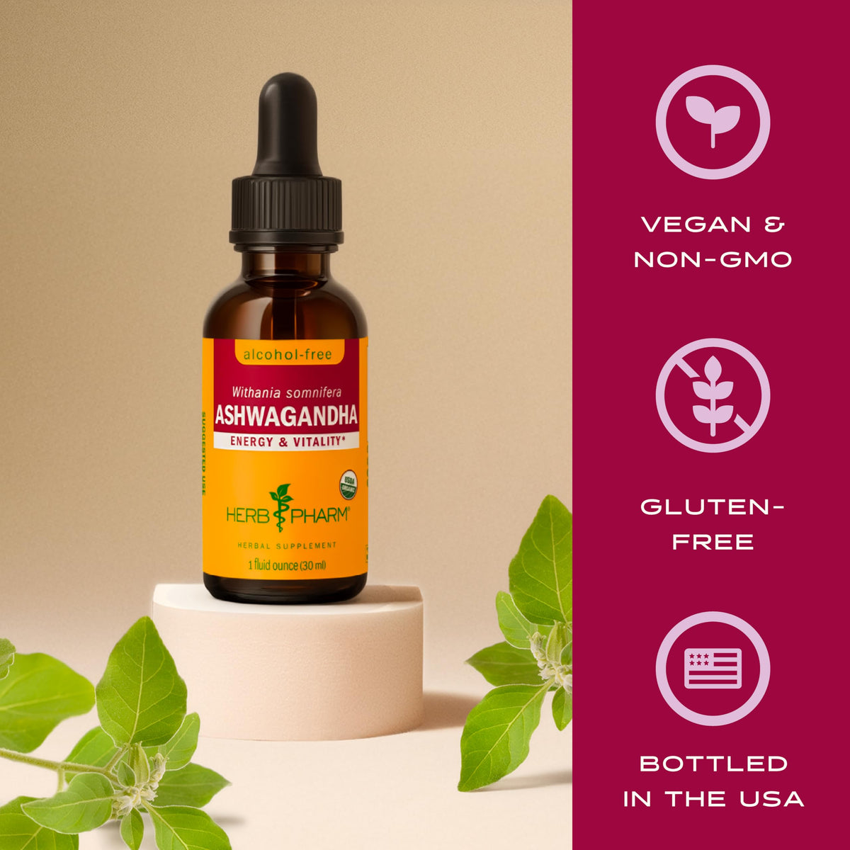Organic Alcohol-Free Ashwagandha Liquid Extract 1 Oz S8861