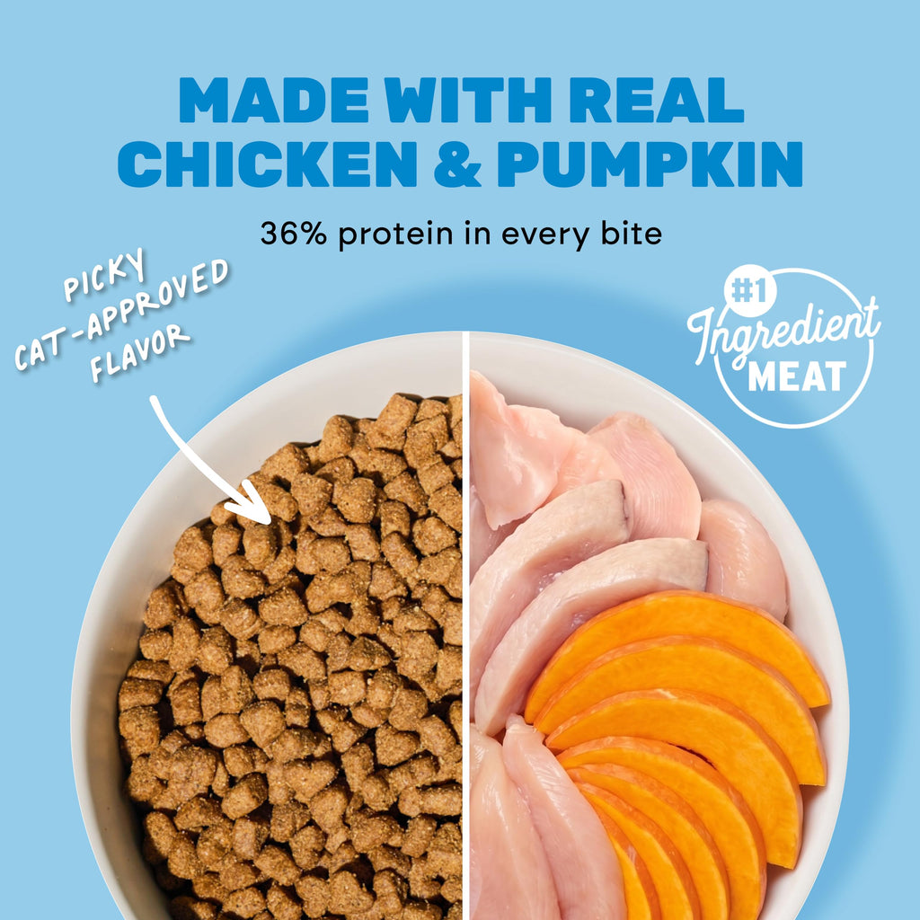 Grain Free Chicken Pumpkin Dry Cat Food A433022