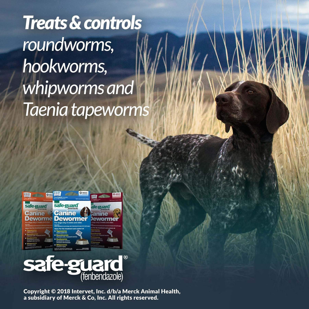 Canine Dewormer 2gm Pouch Pack of 3 Z5643