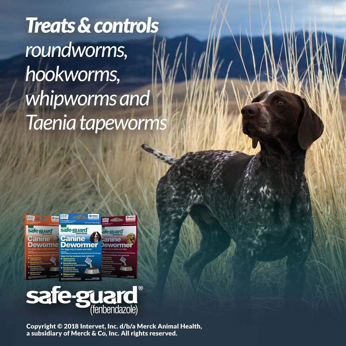 Canine Dewormer 2gm Pouch Pack of 3 Z5643