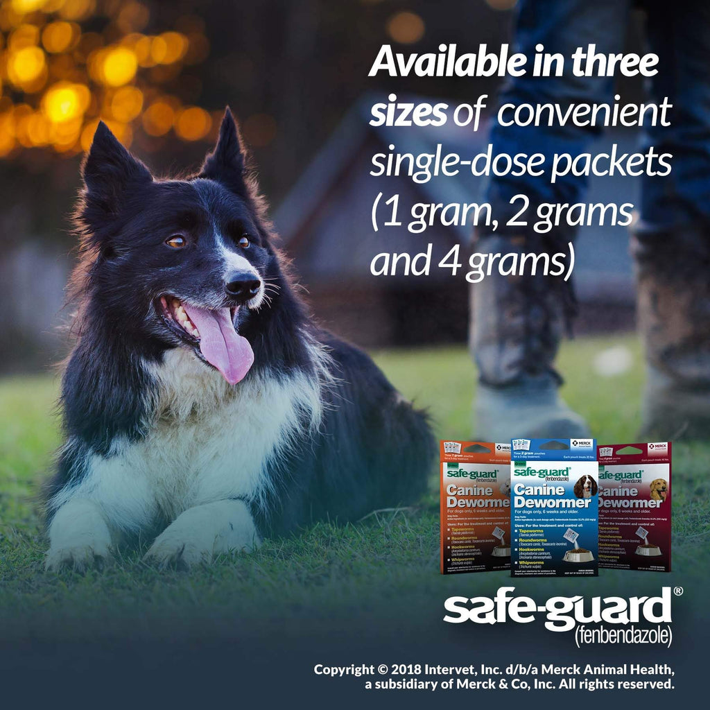Canine Dewormer 2gm Pouch Pack of 3 Z5643