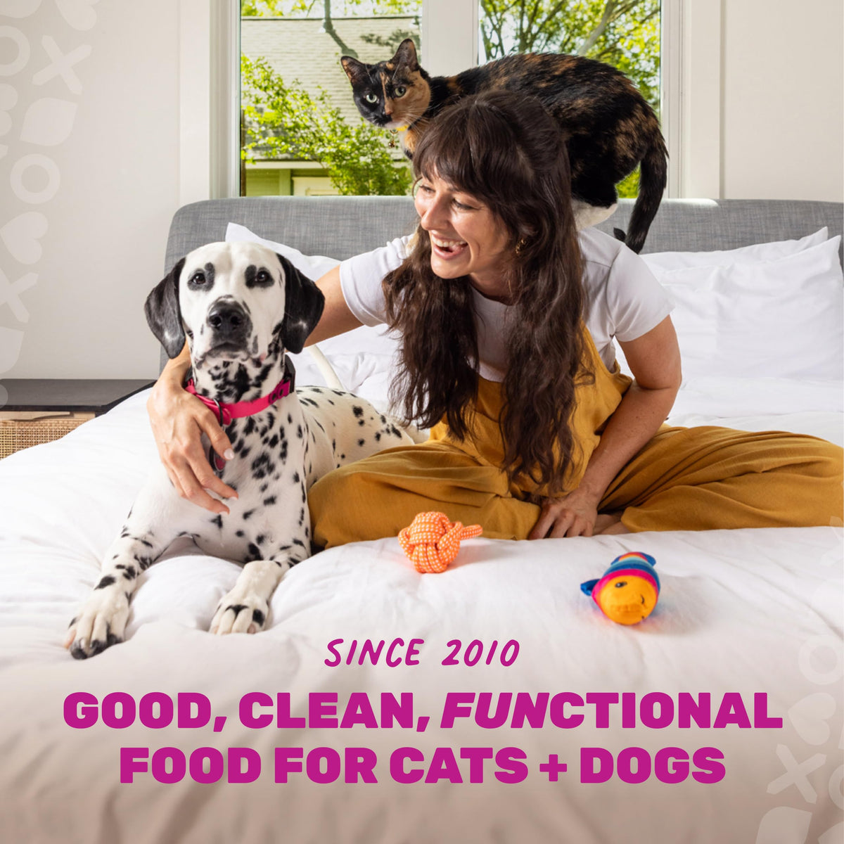 Grain Free Chicken Pumpkin Dry Cat Food A433022