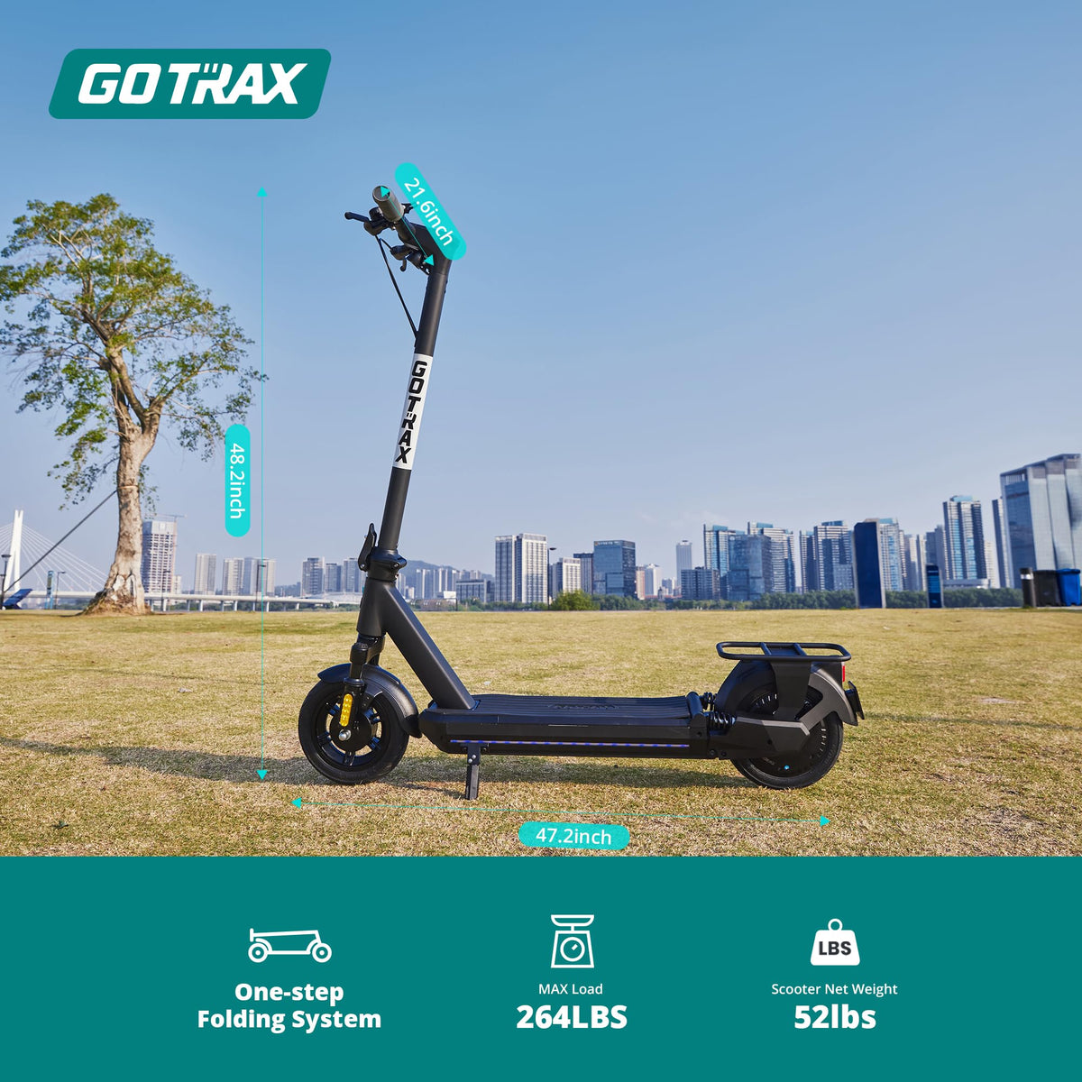 Electric Scooter with 10" Tire Y67007