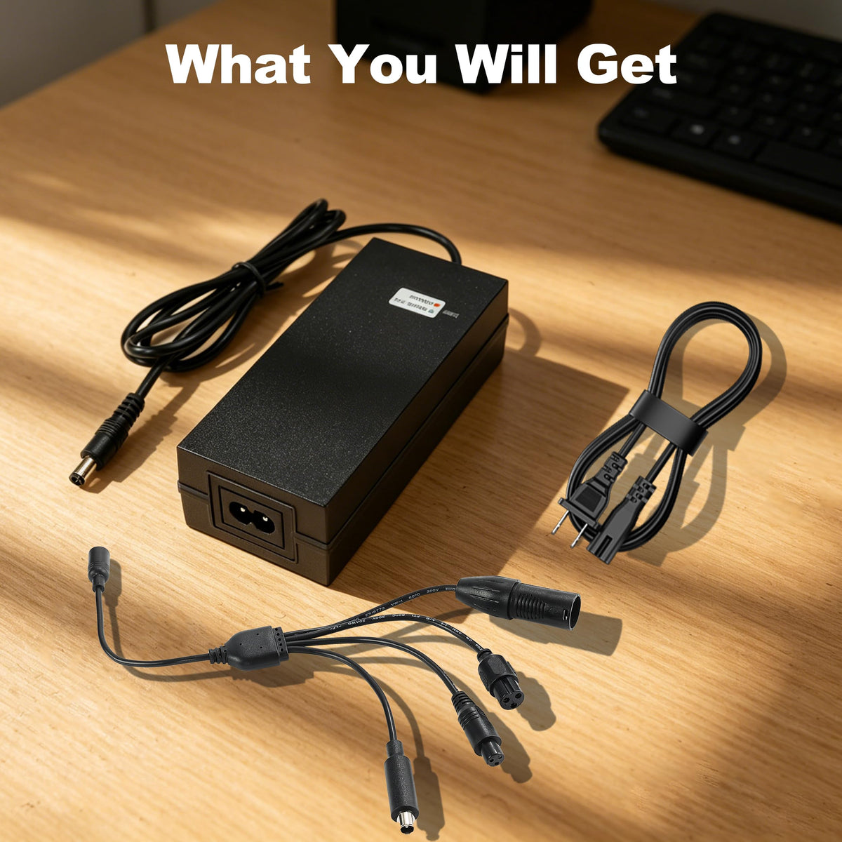 42V 2A Scooter Charger with 5 Types of Connectors S229724