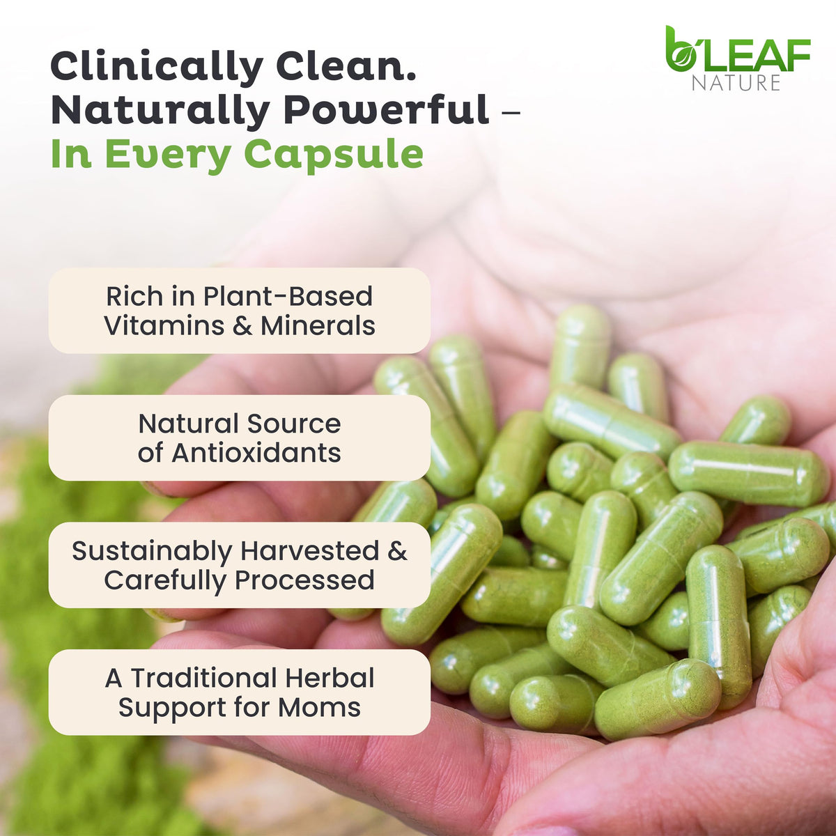 Moringa Leaf Vegan Capsules 1000mg 180 Count R201