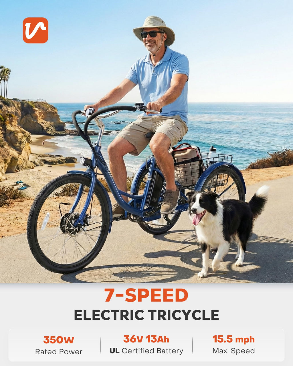 Electric Trike 7 Speed L241107