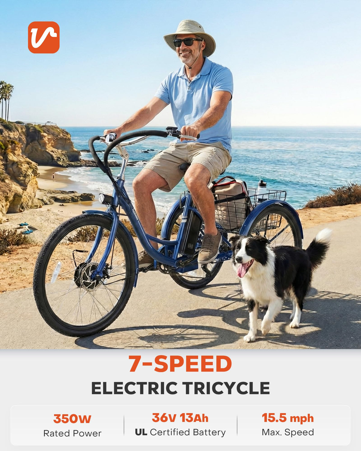 Electric Trike 7 Speed L241107