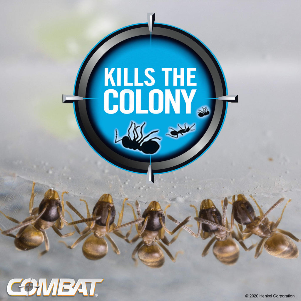 Ant Killing Gel Bait Station 4 Count W304671
