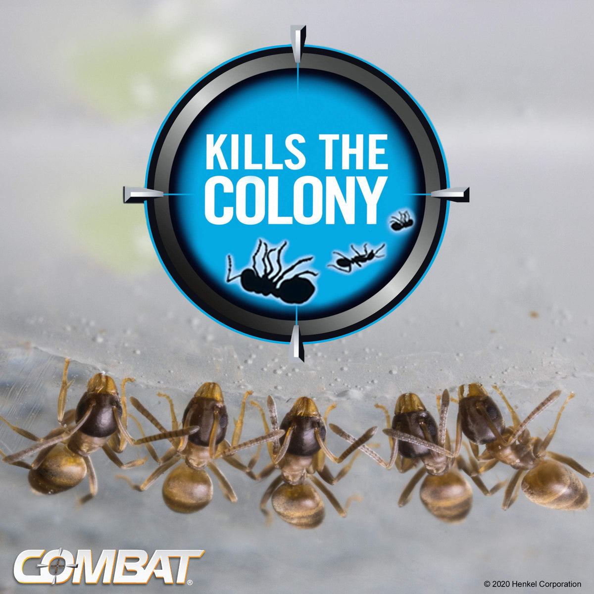 Ant Killing Gel Bait Station 4 Count W304671