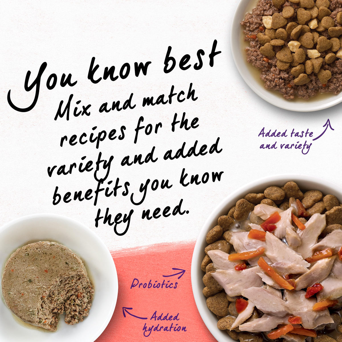Grain Free Dry Cat Food Salmon, Egg and Sweet Potato Recipe 11 lb. Bag I80960