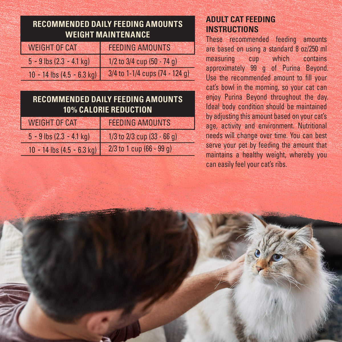 Grain Free Dry Cat Food Salmon, Egg and Sweet Potato Recipe 11 lb. Bag I80960