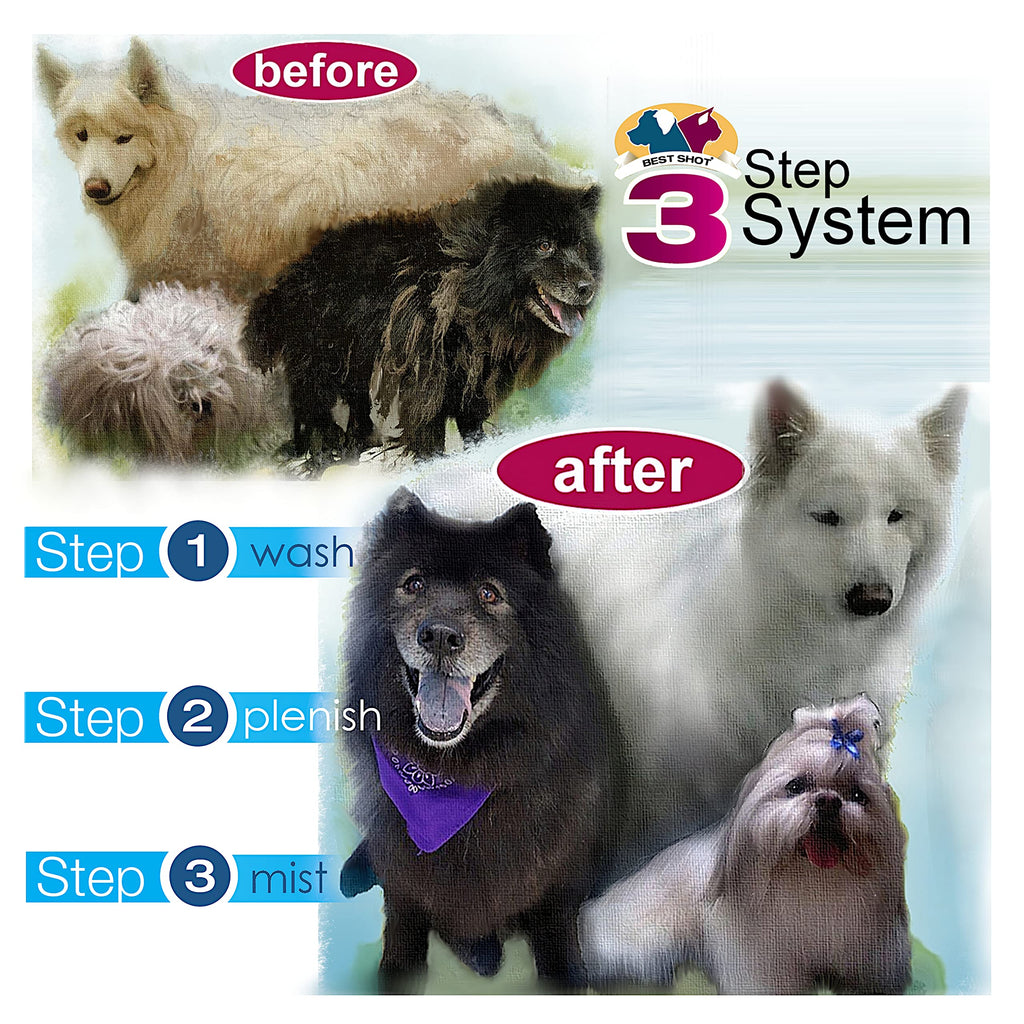 Soap-Free Quick-Rinsing Pet Shampoo 1 Gallon R3627
