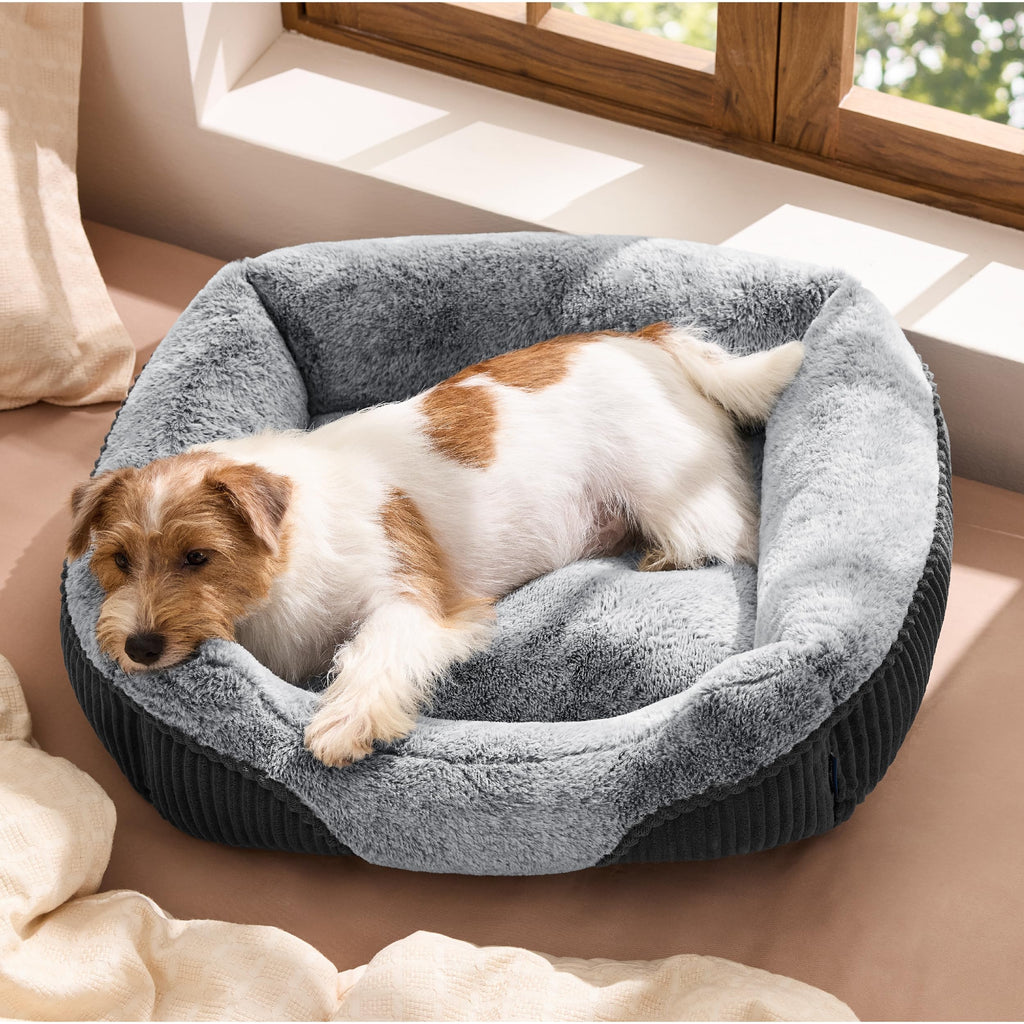 Washable Dog Bed Small Medium Size 25x21x7in D582